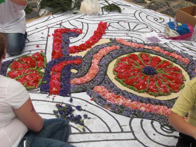 foto di pino (23).JPG