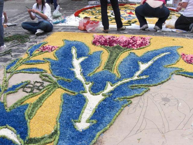 foto di pino (24).JPG