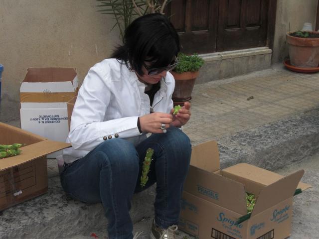 foto di pino (27).JPG