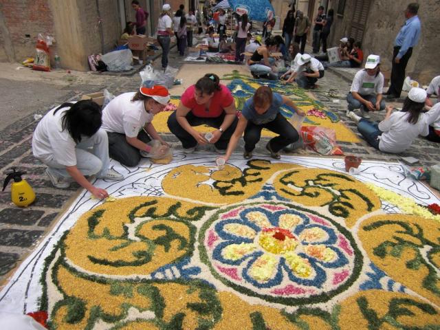 foto di pino (28).JPG