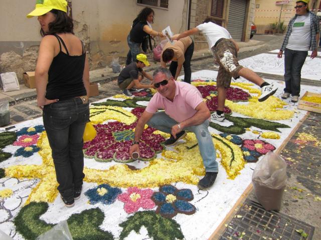 foto di pino (30).JPG