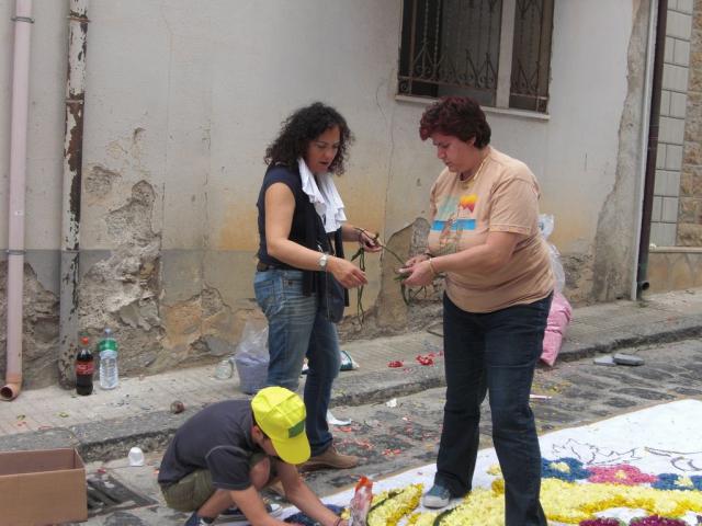 foto di pino (31).JPG