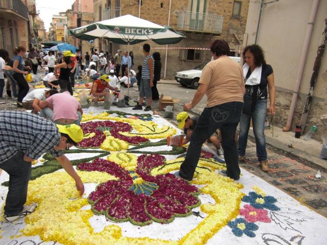 foto di pino (32).JPG