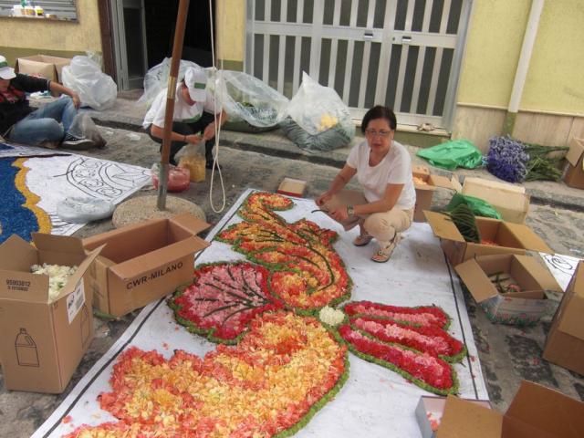 foto di pino (4).JPG