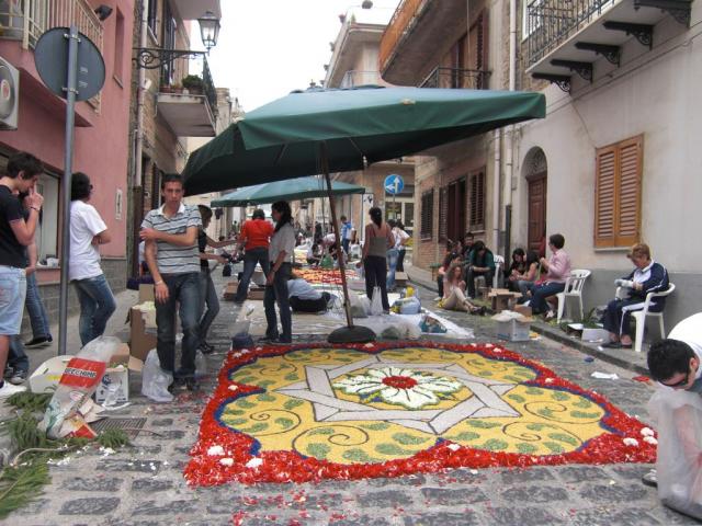 foto di pino (40).JPG