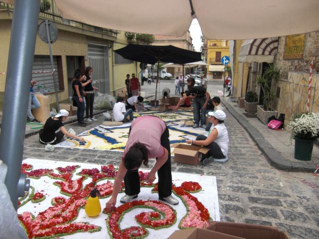 foto di pino (42).JPG