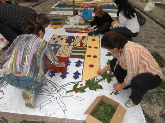 foto di pino (52).JPG