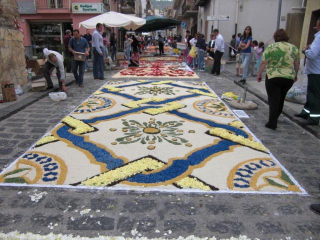 foto di pino (55).JPG