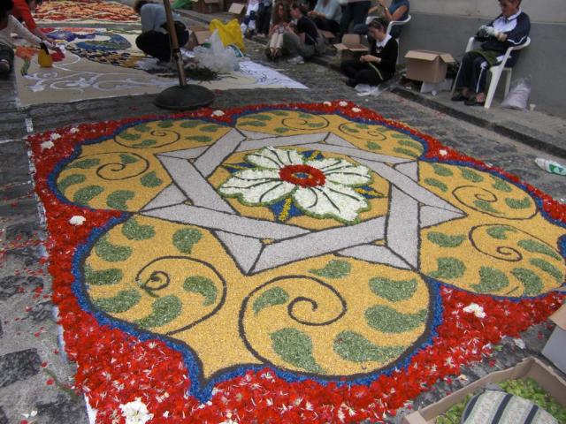 foto di pino (58).JPG