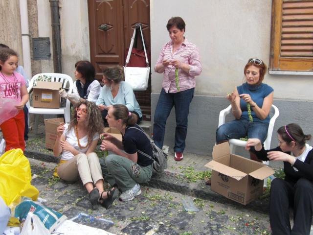 foto di pino (62).JPG