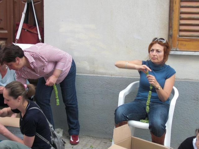 foto di pino (63).JPG