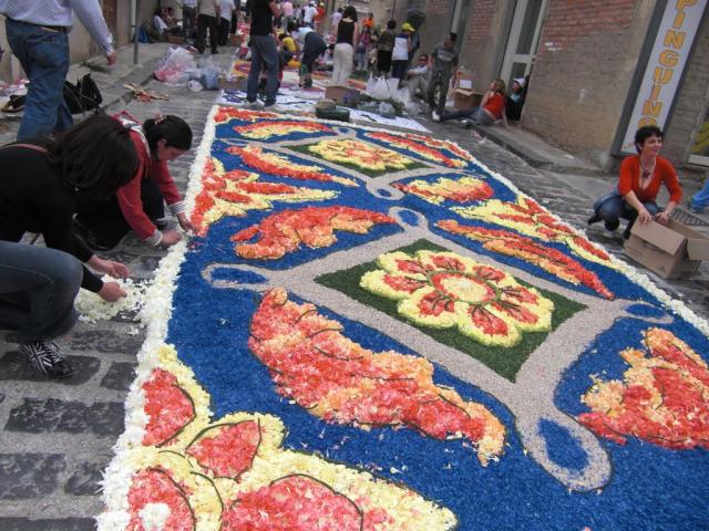 foto di pino (68).JPG