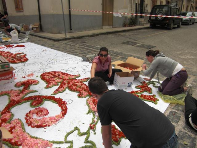 foto di pino (7).JPG