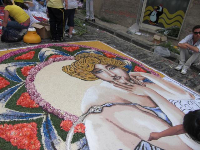 foto di pino (70).JPG