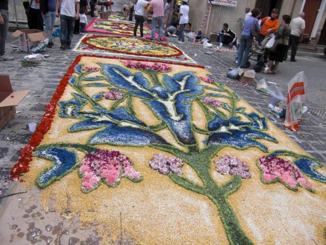 foto di pino (72).JPG