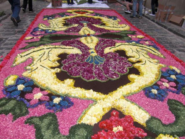 foto di pino (74).JPG