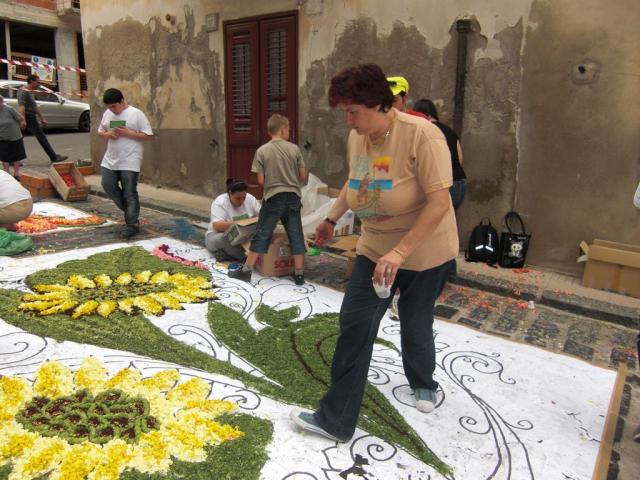 foto di pino (75).JPG