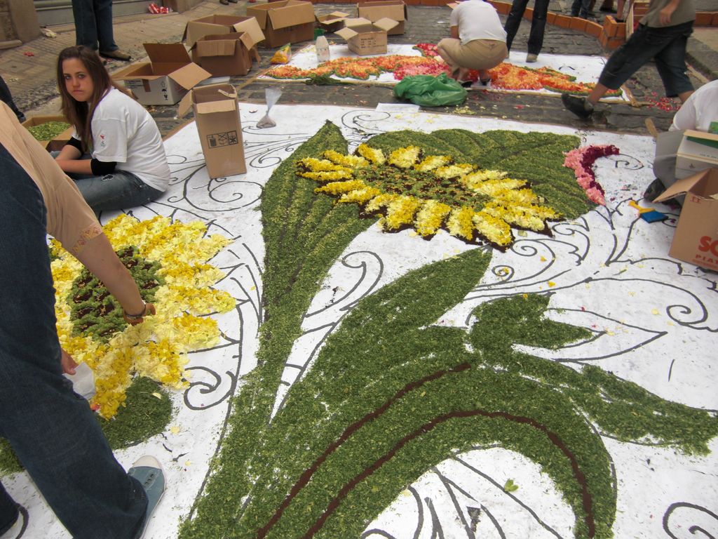 foto di pino (76).JPG