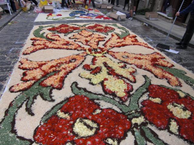 foto di pino (78).JPG