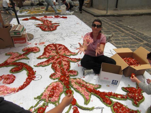 foto di pino (8).JPG