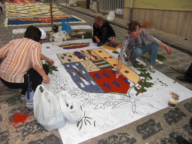 foto di pino (82).JPG