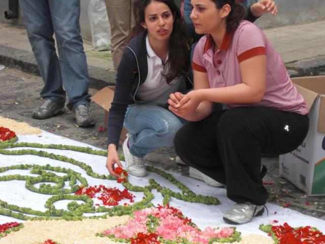 foto di pino (83).JPG