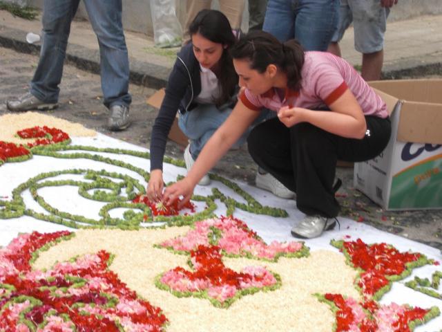 foto di pino (85).JPG