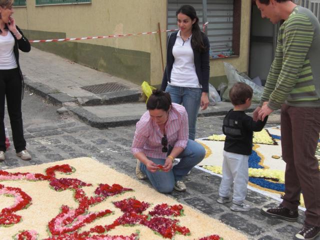 foto di pino (91).JPG