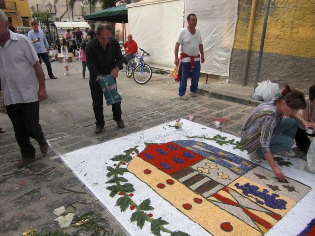 foto di pino (95).JPG