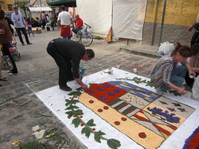 foto di pino (96).JPG