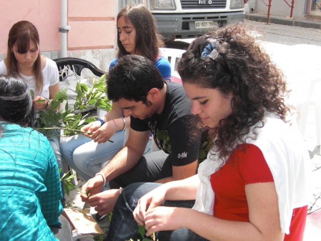 foto di pino (101).JPG