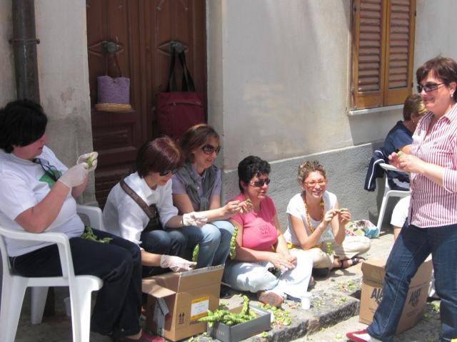 foto di pino (109).JPG