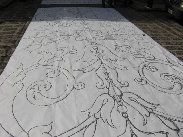 foto di pino (22).JPG