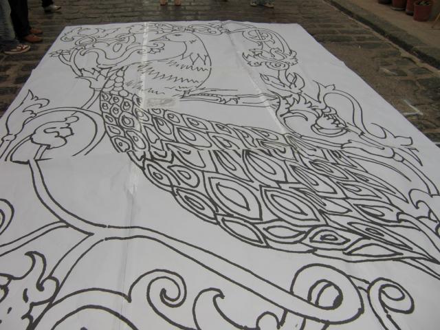 foto di pino (24).JPG