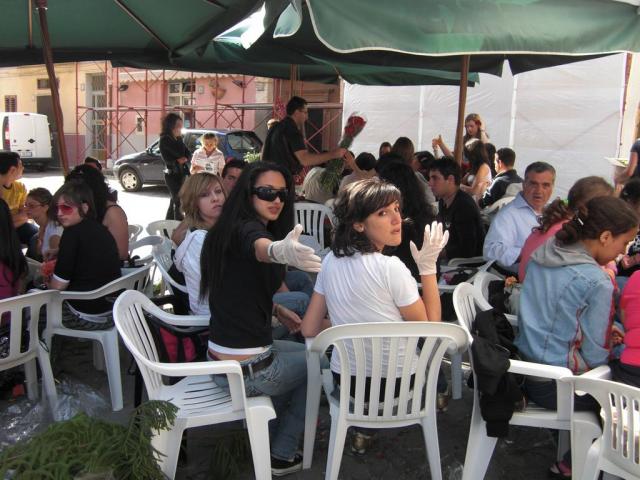 foto di pino (42).JPG