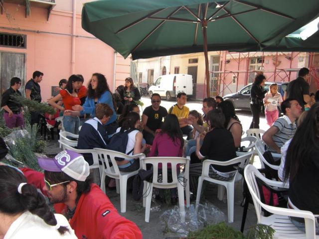 foto di pino (43).JPG