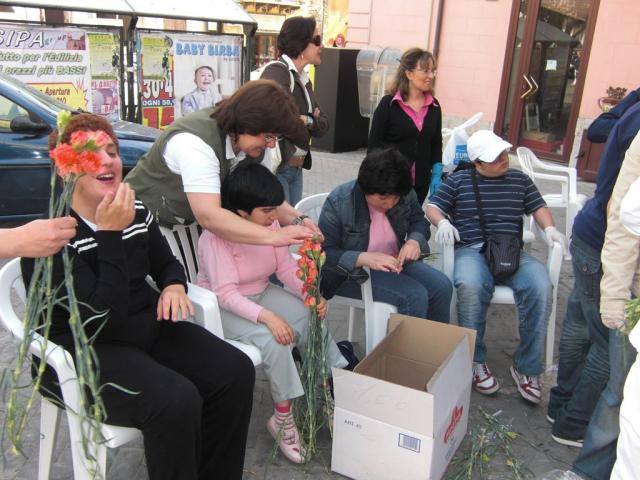 foto di pino (49).JPG