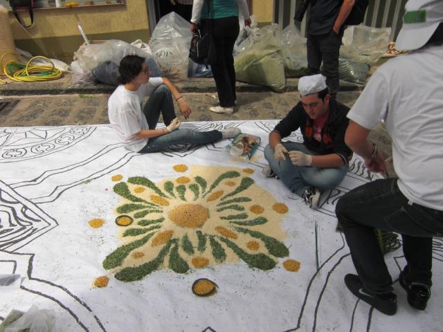 foto di pino (66).JPG