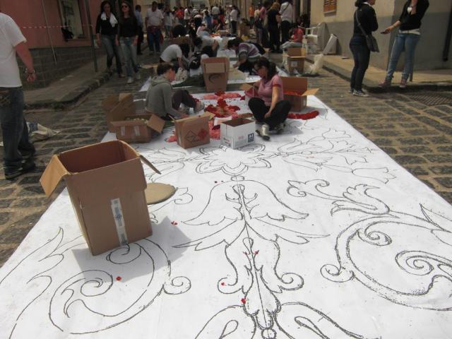 foto di pino (68).JPG