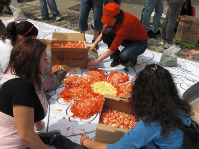 foto di pino (79).JPG