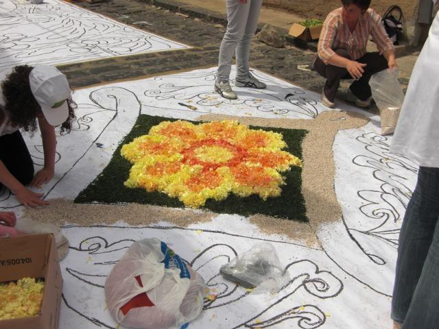 foto di pino (80).JPG