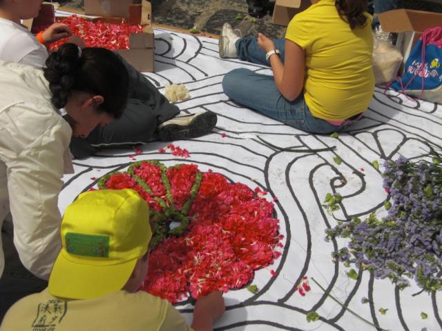 foto di pino (84).JPG