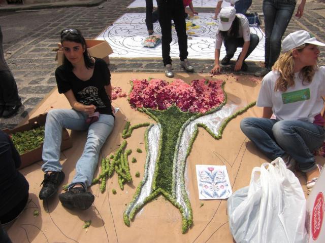 foto di pino (85).JPG