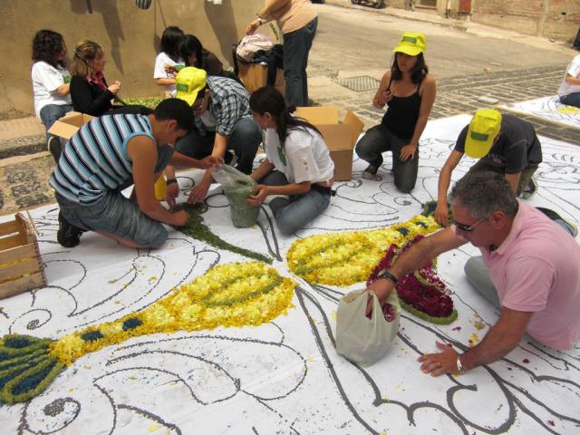 foto di pino (89).JPG