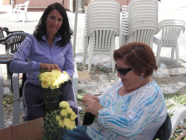 foto di pino (96).JPG