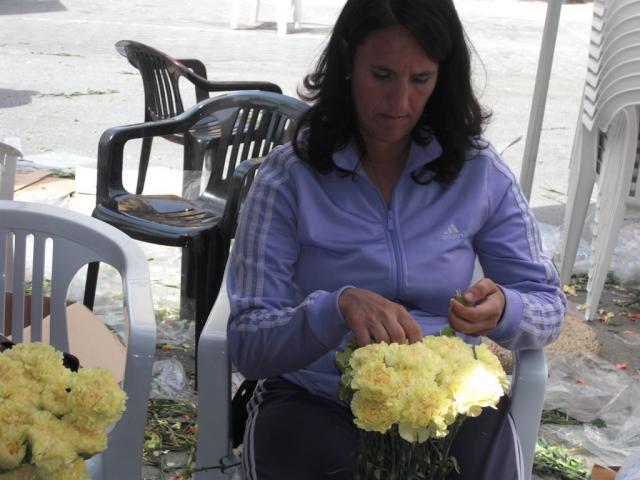 foto di pino (99).JPG