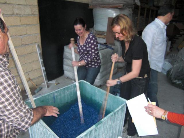 foto di pino (1).JPG