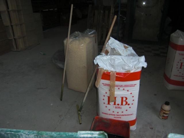 foto di pino (10).JPG