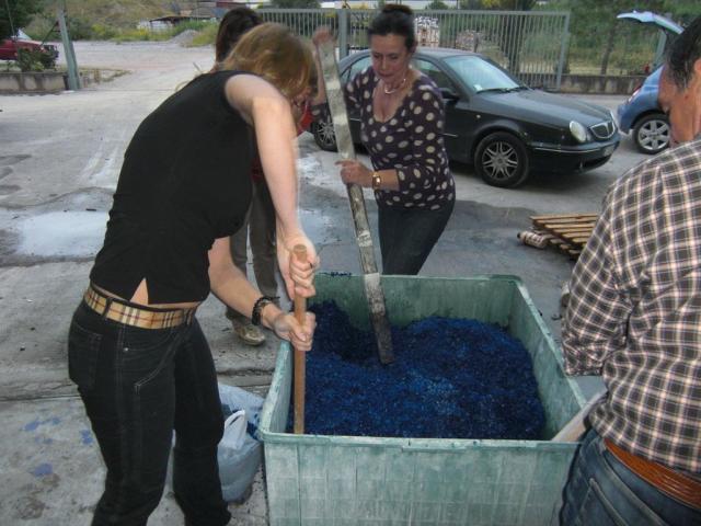 foto di pino (15).JPG