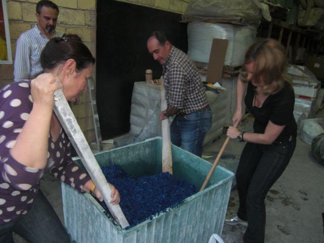 foto di pino (18).JPG